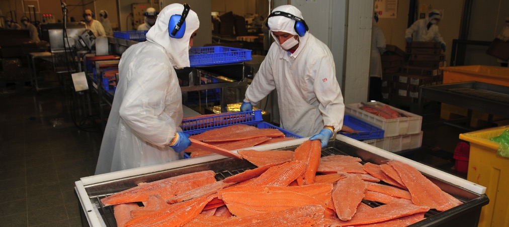 exportacion Salmon02.jpeg